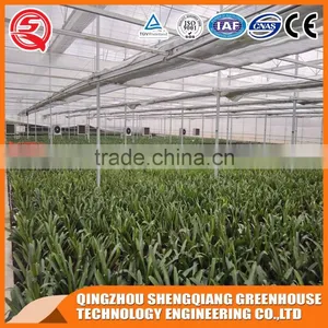 Hot Sale Large Multi-span Glass Agricultural Greenhouses for Vegetables ,flowers thumbnail-5