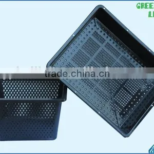 Plastic Tray Without Holes Seedling Wholesale thumbnail-1