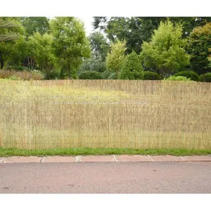 High Quality Reed Fence ,natural Bamboo Reed Fence,various Size Reed Fence thumbnail-2