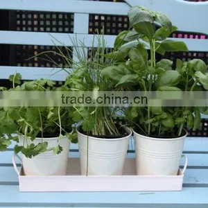Hot Selling Flower Pot thumbnail-1