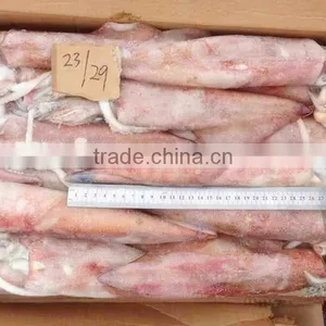 Sea Frozen Loligo Chinensis ,for Italy ,Greece et ,EU Market thumbnail-4