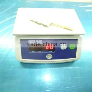 Seafood Frozen Giant Squid Fillet thumbnail-1