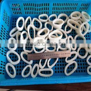 IQF Pacific Squid Rings (Todarodes Pacificus) thumbnail-4