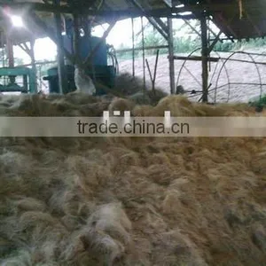 Coco Fiber With High Quality thumbnail-1