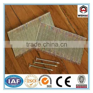 Stainless Steel Floor Nail thumbnail-1
