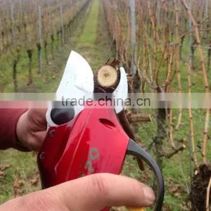 Gardener Scissor thumbnail-1