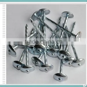 E.G. Umbrella Head Roofing Nails With Low Price From China thumbnail-6