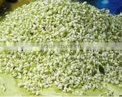 Jasmine Flowers thumbnail-1