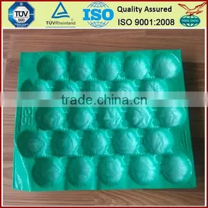 FDA Approval Vacuum Formed Blister Packaging 29x49cm Alveolus PP Tray For Fresh Fruits thumbnail-5