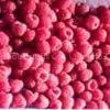 Red Raspberry Extract thumbnail-1