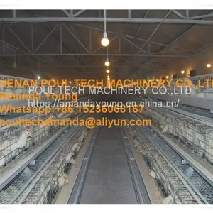 Honduras Poultry Farm A Type Battery Female Chicken Cage & Male Chicken Cage With Automatic Feeding Machine Used in Chicken Shed thumbnail-2