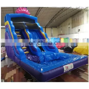 Commercial Rooster Theme Kids Jumping Slide Inflatable Bounce Water Slide On Sale thumbnail-1