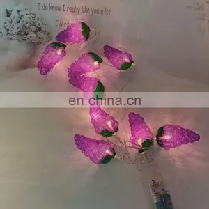 Hot Sale Unique Harvest Decoration Plastic Grape Shape String Light thumbnail-4