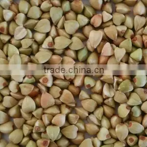 Organic Buckwheat thumbnail-1