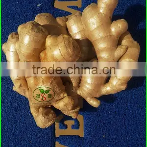 Mesh Bag/carton Packaging Red One Onion Prices thumbnail-3