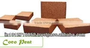 WASHED COCOPEAT thumbnail-5