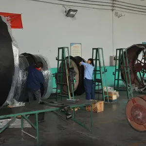 Henan Shuangfu Industry Co.,ltd company overview - view 3 thumbnail