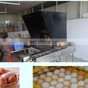 Egg Production Line/ Egg Washing Cleaning Drying Printing Grading Production Line thumbnail-3