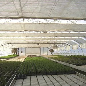 50% Aluminum Shade Net For Greenhouse Shading, Vegetable Garden Protection Silver Shade Mesh,UV Resistant Plastic Thermal Screen thumbnail-3