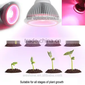 Led Light Plant Indoor Spot Lights 27w Cob Integrated Indoor Plant Led Grow Light Spot for Flower and Fruit Blooming thumbnail-5