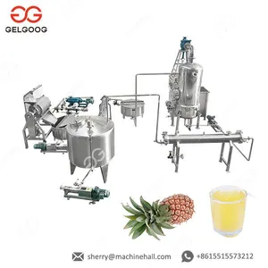 Automatic Mango/Pineapple Juice Machine Mango Pulp Production Processing Line thumbnail-2