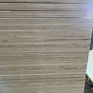 22mm Full Eucalyptus Continuous Core Ultra-Flat Grade AA/AB Multi-Layer Plywood thumbnail-3