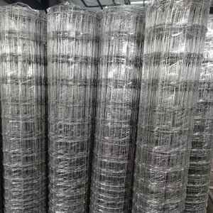 Factory Manufacturing Sales Customized Hardware Cloth Steel Iron Wire Mesh Farm Fence Roll Galvanized Welded Wire Mesh thumbnail-2