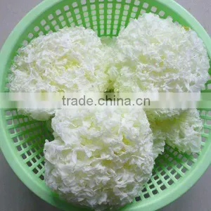 Dried Tremella Mushroom thumbnail-1