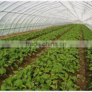 Fruit Tree HDPE Insect Proof Net / Greenhouse Plastic Anti Insect Net thumbnail-3