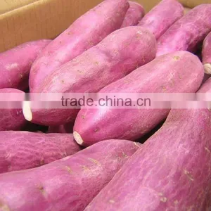 HOT PRODUCT 2015- FROZEN SWEET POTATO COMPETITIVE PRICE thumbnail-1