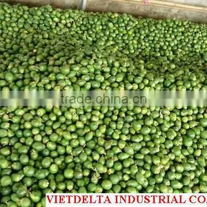 Fresh Betel Nut thumbnail-1