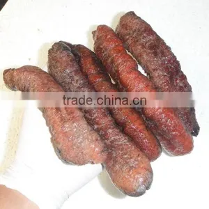 Dry Sea Cucumber Vietnam, Lolly Fish, Holothuria Atra thumbnail-5