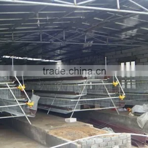 Automatic Feeding Quail/chicken Cage of Poultry Farming Equipment thumbnail-4
