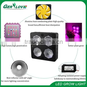 Full Spectrum Cob Led Plant Growth Light 300w 400w 800w Battery Operated Led Plant Indoor Light thumbnail-4