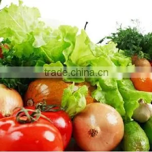 Vegetable Fruit Sorter/fruit Vegetable Sorting Machine/vegetable Fruit Picking Machine thumbnail-2