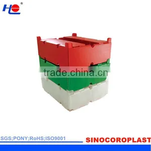 FDA PP Fruit Packaging Box/Case thumbnail-4