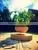 Rotated Levitation Plant Pots thumbnail-1