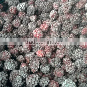 IQF Blackberry thumbnail-1