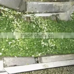 IQF Scallions thumbnail-2