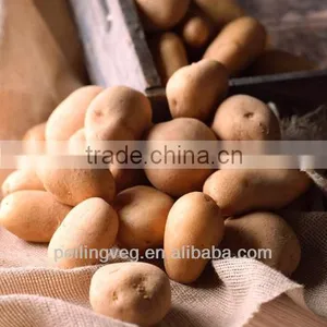 New Fresh Potato Planter From China thumbnail-1