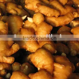 Air Dry Ginger thumbnail-1