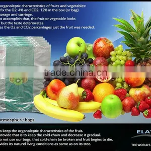 Dragon Fruit Bag thumbnail-2