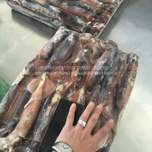 Frozen Squid thumbnail-2