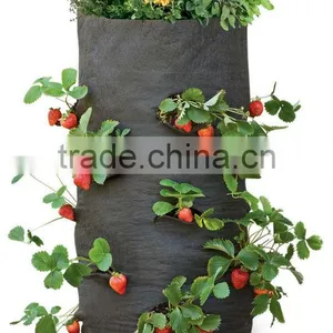 Heavy Strawberry Grow Bag thumbnail-1