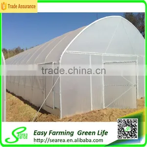 Searea Economical Single Span Greenhouse thumbnail-2