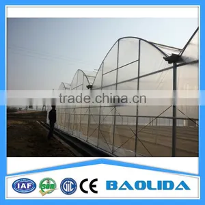 Large Multi Span Green House thumbnail-5