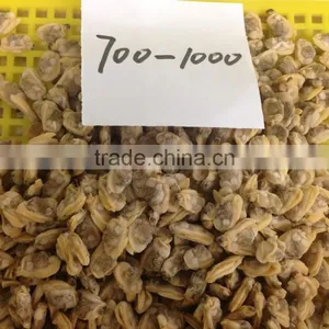 Baby Clam Meat thumbnail-4