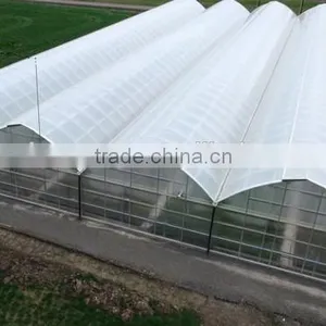 Economical Plastic Film Greenhouse Tunnel for Sale thumbnail-1