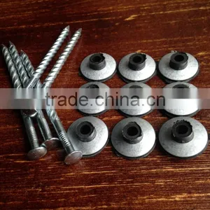 Galvanized Roof Screw Nail With Plastic Cap thumbnail-2