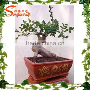 Artificial Japanese Fruticosa Tree Indoor Plant for Home Decorated thumbnail-5